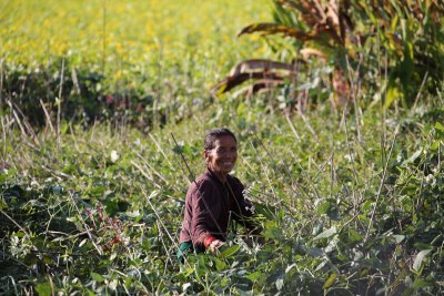 Near Arughat Bazaar, Oct 2014