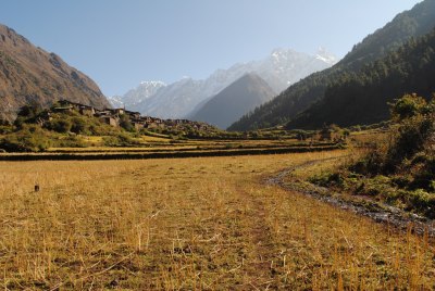 Ripchet, Tsum Valley, Nov 2014