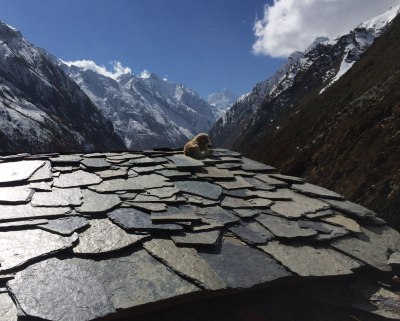 Mu Gompa, Tsum Valley, Nov 2014