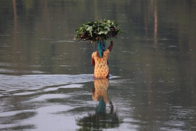 Chitwan National Park, Nov 2014