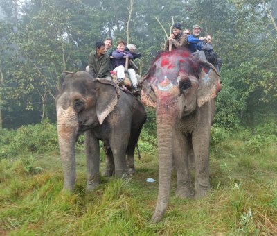 Chitwan National Park, Nov 2014