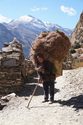 Annapurna Circuit, Oct 2016