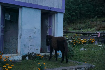 Manaslu Circuit, Oct 2016