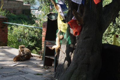 Kathmandu, Oct 2016